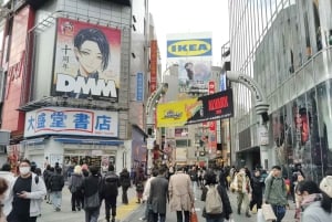 Tóquio: City tour de 2 horas pela cidade de Shinjyuku e Shibuya