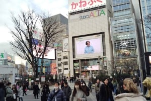 Tóquio: City tour de 2 horas pela cidade de Shinjyuku e Shibuya