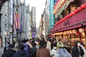 Tóquio: City tour de 2 horas pela cidade de Shinjyuku e Shibuya