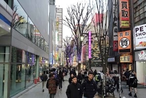 Tóquio: City tour de 2 horas pela cidade de Shinjyuku e Shibuya
