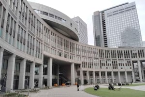 Tóquio: City tour de 2 horas pela cidade de Shinjyuku e Shibuya