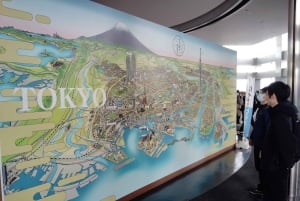 Tóquio: City tour de 2 horas pela cidade de Shinjyuku e Shibuya