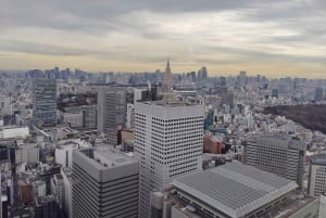 Tóquio: City tour de 2 horas pela cidade de Shinjyuku e Shibuya