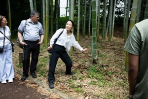 Tokyo: Tour Shogun dei Giardini Est del Palazzo Imperiale