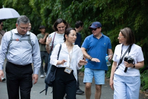 Tokio: Visita Shogun a los Jardines del Este del Palacio Imperial