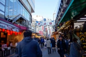 Privat tur på Tokyos shoppinggata Statligt licensierad guide