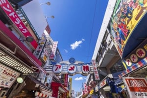 Privat tur på Tokyos shoppinggata Statligt licensierad guide
