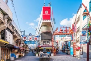 Privat tur på Tokyos shoppinggata Statligt licensierad guide