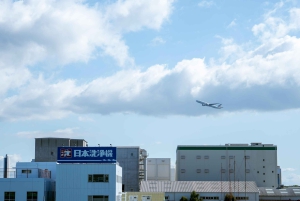 Tokyo Shore Excursion with Private Car from Yokohama Port