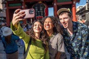 Tokyo Shore Excursion with Private Car from Yokohama Port