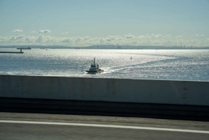 Tokyo Shore Excursion with Private Car from Yokohama Port