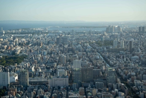 Tokyo Shore Excursion with Private Car from Yokohama Port