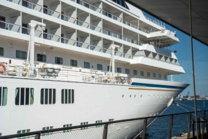 Tokyo Shore Excursion with Private Car from Yokohama Port