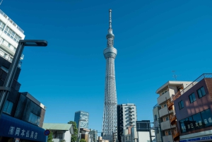 Tokyo Shore Excursion with Private Car from Yokohama Port