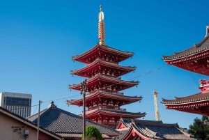 Tokyo Shore Excursion with Private Car from Yokohama Port