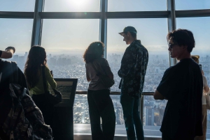 Tokyo Shore Excursion with Private Car from Yokohama Port