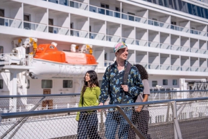 Tokyo Shore Excursion with Private Car from Yokohama Port