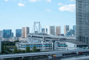 Tokyo Shore Excursion with Private Car from Yokohama Port