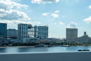 Tokyo Shore Excursion with Private Car from Yokohama Port