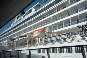 Tokyo Shore Excursion with Private Car from Yokohama Port