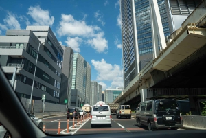 Tokyo Shore Excursion with Private Car from Yokohama Port
