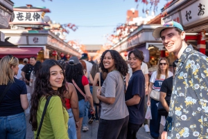 Tokyo Shore Excursion with Private Car from Yokohama Port