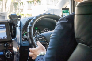 Tokyo Shore Excursion with Private Car from Yokohama Port