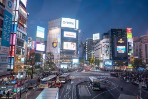 Tokyo Shore Excursion with Private Car from Yokohama Port