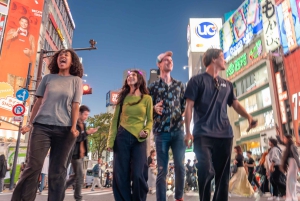 Tokyo Shore Excursion with Private Car from Yokohama Port