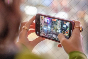 Tokyo Shore Excursion with Private Car from Yokohama Port