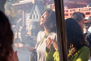 Tokyo Shore Excursion with Private Car from Yokohama Port