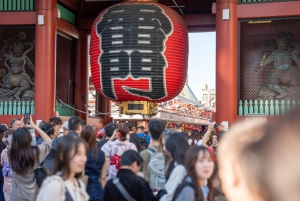 Tokyo Shore Excursion with Private Car from Yokohama Port