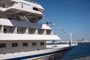 Tokyo Shore Excursion with Private Car from Yokohama Port