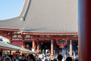 Tokyo Shore Excursion with Private Car from Yokohama Port