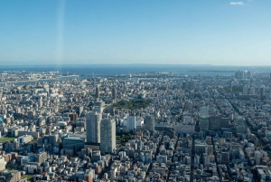 Tokyo Shore Excursion with Private Car from Yokohama Port