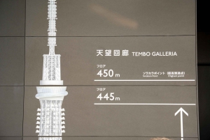 Tokyo Shore Excursion with Private Car from Yokohama Port