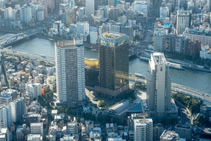 Tokyo Shore Excursion with Private Car from Yokohama Port