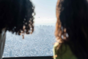 Tokyo Shore Excursion with Private Car from Yokohama Port