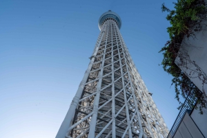 Tokyo Shore Excursion with Private Car from Yokohama Port