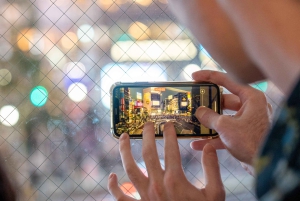 Tokyo Shore Excursion with Private Car from Yokohama Port