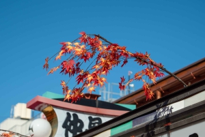 Tokyo Shore Excursion with Private Car from Yokohama Port