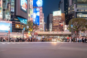 Tokyo Shore Excursion with Private Car from Yokohama Port