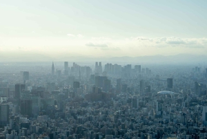 Tokyo Shore Excursion with Private Car from Yokohama Port