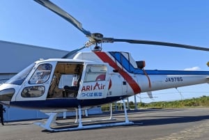 Tokyo Sightseeing Helicopter Tour for 5 Passengers