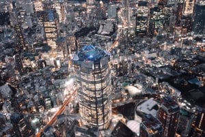 Tokyo Sightseeing Helicopter Tour for 5 Passengers