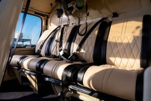 Tokyo Sightseeing Helicopter Tour for 5 Passengers