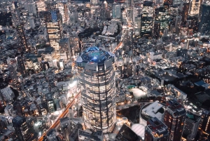 東京観光ヘリコプター・ツアー（5人乗り
