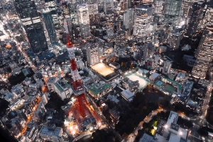 東京観光ヘリコプター・ツアー（5人乗り