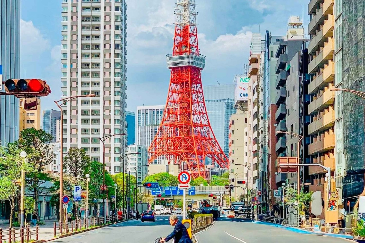 Tokyo : Visite touristique en véhicule privé de luxe