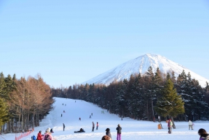 Tokyo: Ski or Snowboard Day Trip